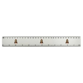 'Pirate Rocket ' 30cm (12 Inch) White Plastic Ruler (RL00087572)