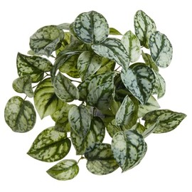 10" Pothos Exotica Leaf Silk Hanging Plant -Green/Gray (Pack of 12)