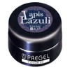 Pregel Gel Nail Color EX, Milky Carrot 300 bule