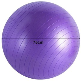 HHWRT Exercise Ball Chair, Yogas Balls, Anti Slip Heavy Duty Gym Ball, Yoga Balls Chair, Large Gym Ball for Back, Pilates Exercise Ball Chair, Yoga & Pilates Balls
