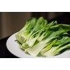 Seeds4planting - Seeds Chinese Cabbage Bok Choy Heirloom Vegetable Non