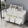 Fesbos 2 Drawers Vertical File Cabinets - 17.8" Deep Lockable