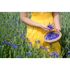 Nelson's Tea - Cornflower Petals (Centaurea cyanus) - Dried Blue