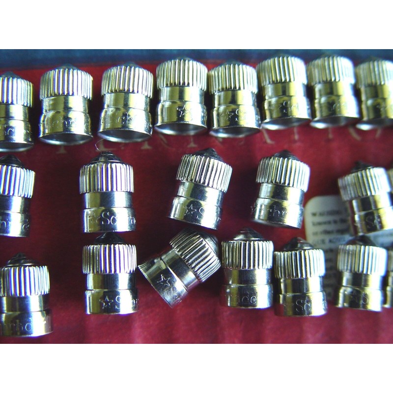 Schrader Automotive 25 Xtra Seal Brass Metal Chrome Valve Caps