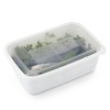 Rotho Freeze Freezer Box 3.7 L with Lid, Plastic (PP)