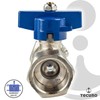 tecuro Ball Valve with Union Nut Rp 3/4 Inch x