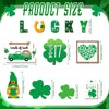 Frienda St Patricks Day Decor 12 Pcs St. Patrick's Day