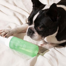 bubblelamb Non-Wash Soothing Bubble Pet Dry Shampoo 150ml, Waterless, Foam Cleanser, Anti-itching, Fur Cleaner Conditioner - Moisturizing, Conditioning, Deodorizing