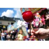 Perfect Stix 5.5 Inch Sturdy Candy Apple Bamboo Skewers -
