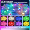 RENDIN Luces Navideñas Inteligentes 10M, USB Guirnalda de Luces LED