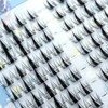 LASHIDOL Partial False Eyelashes, Large Capacity, Partial False Eyelashes, False