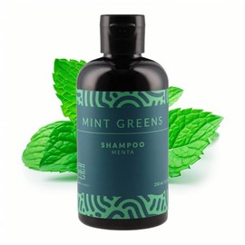 Shampoo Hombre 250ml | Para Limpieza Profunda | Propiedades Exfoliantes y Antioxidantes | Cabello Limpio, Fresco y Revitalizado | THE GOOD GUYS (Menta)
