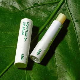 isoi [Isoi] Moisture Doctor Lip Balm (Longevity Lip Balm), 2 pcs. / [아이소이] 모이스춰 닥터 립밤(장수진립밤), 2개