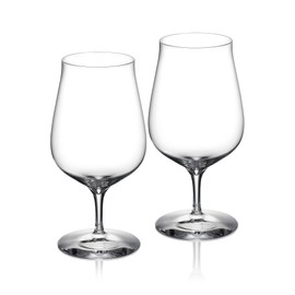Waterford Craft Brew Hybrid Glass, Set of 2, 27 oz, Clear