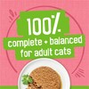 Friskies Purina Friskies Wet Cat Food Pate, Pate Salmon Dinner