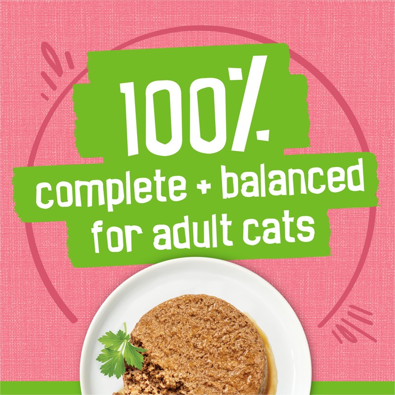 Friskies Purina Friskies Wet Cat Food Pate, Pate Salmon Dinner