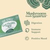 Four Sigmatic Chaga Mushroom Elixir - USDA Organic Chaga Mushroom