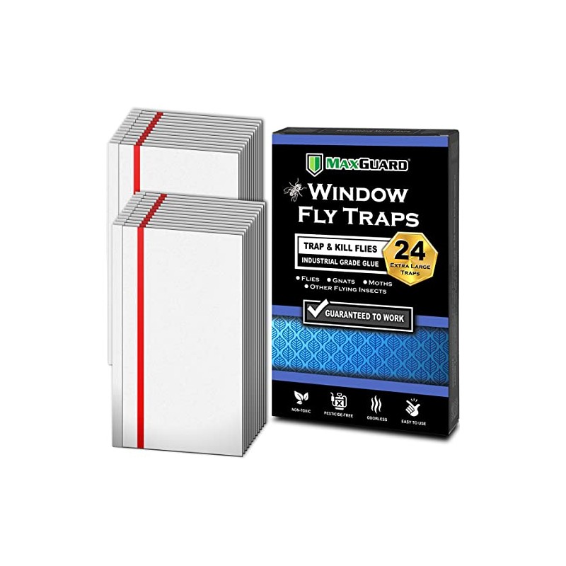 MaxGuard Window Fly Traps - Capture & Kill Insects Effortlessly