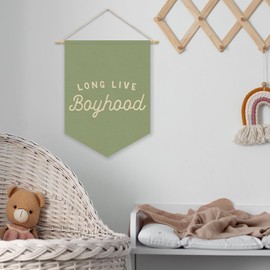 Long Live BoyHood Banner Sage Green Decor Boy Room Decor,Nursery Playroom Wall Decor For Boys Bedroom Toddler Decorations Teen Boy Room Decor,Wall Hanging Pennant Flag Banner 15x11in