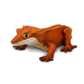 Safari Ltd. Crested Gecko - Realistic 5.5" Model Figure - Educational Toy for Boys, Girls & Kids Ages 3+
