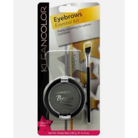 KleanColor Eyebrow Kit - Black -3 Stencils, 1 Eyebrow Powder, 1 Brush  Black