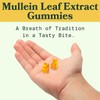 60pcs Mullein Gummies,Mullein Leaf Extract for Lungs,2000mg Mullein Extract for