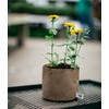 Smart Pots 2-Gallon Smart Pot Soft-Sided Container, Tan