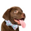 ARING PET Bowtie Dog Collar Adjustable Collars with Bow Tie