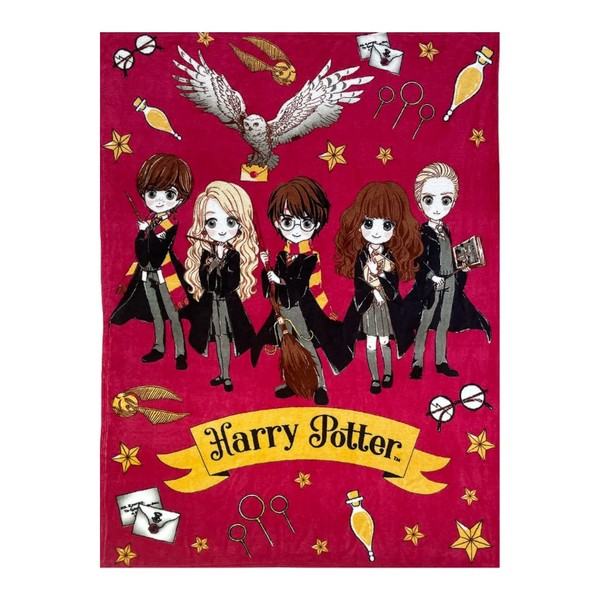 Harry Potter Hogwarts Movie Figures Design, Cuddly Blanket, Sofa Bed Blanket, Warm Soft Fleece Blanket, Hogwarts Gift, 120 x 160 cm