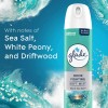 Glade Air Freshener Room Spray Infused with Essential Oils, Sky