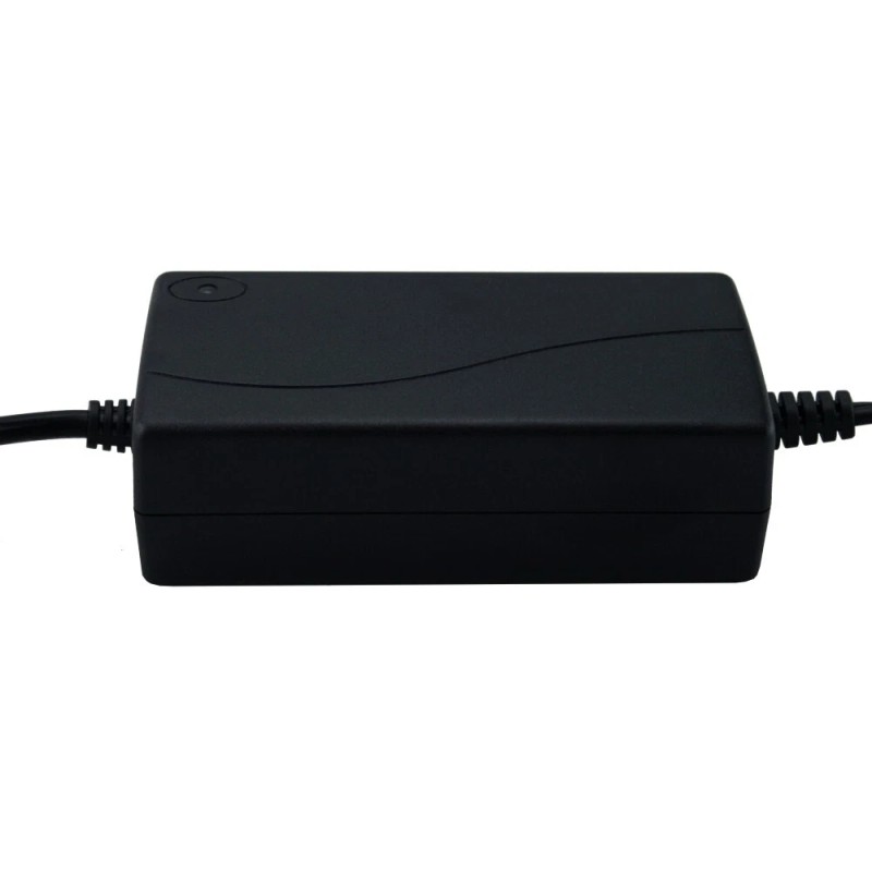 Banshee Sealed Lead Acid 12V Battery Smart Charger for Kid