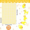Mini Ducks 100 Pack Glow in The Dark Mini Resin