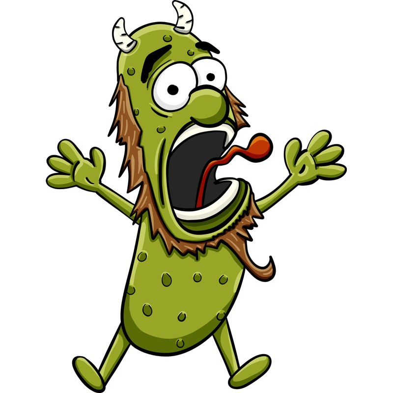 DR DINGUS Screaming Pickle - Original Goat Scream - Best