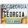 Georgia State License Plate Fridge Collector's Souvenir Magnet 2.5" X