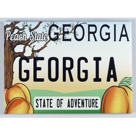 Georgia State License Plate Fridge Collector's Souvenir Magnet 2.5" X 3.5"