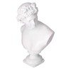 Nordic Style Character Figurine Bust Statue Craft Ornament for Desktop