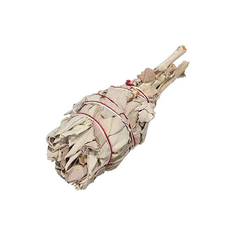 Smudge Stick California White Sage Small Twins 5″ (12cm) Pack