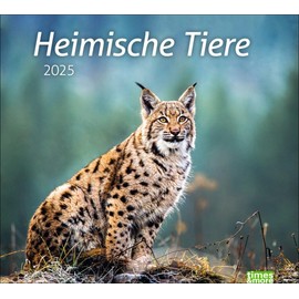 Heimische Tiere Bildkalender 2025: In diesem dekorativen Kalender finden sich die Bewohner heimischer Wiesen und Wälder. Ein times&more Wandkalender ... Tierfotos. (times&more Kalender Heye)