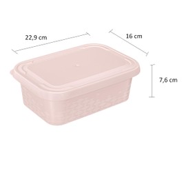 BranQ Home essential Set of 2 ORI Food Storage Containers, BPA-Free Plastic, Pink