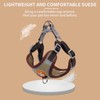 Dog Harness for Small Dogs, Adjustable No Pull Harness for