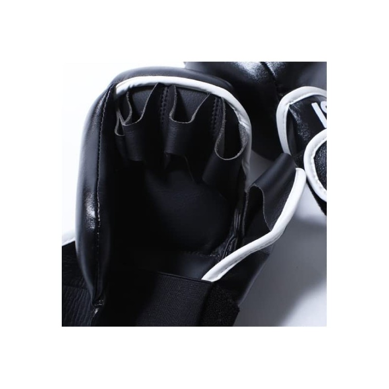 isami TN-8 Pound Gloves Sparring After Mixed Martial Arts (FREE)