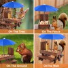 Squirrel Feeder Picnic Table with Umbrella, Wooden Squirrel Feeders for