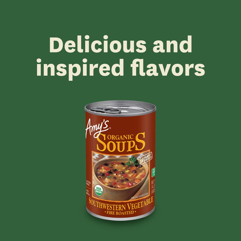 Amy’s Soup, Vegan Fire Roasted Southwestern Vegetable Soup With Organic