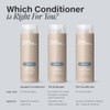 Paul Mitchell The Conditioner, Acondicionador Clsico Sin Enjuague, Suaviza y