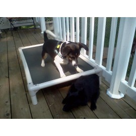 Kuranda Indoor/Outdoor Dog Crate Bed - Almond Frame - 40 oz Vinyl - Grey - Medium 35"x23"