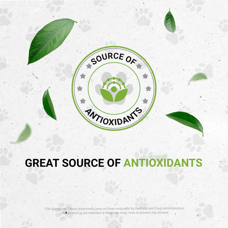 Birds Immunity | Natural Herbal Dietary Pet Supplement for Birds