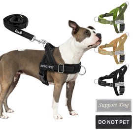 SlowTon No Pull Large Medium Dog Harness and Lead Set, No Choke Escapeproof Neck & Chest Adjustable, 5.9 Ft Dog Lead Anti-Twist Pet Lead, Soft Padded Reflective