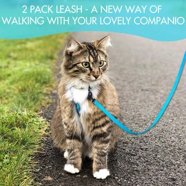 DOYOO 2 Pack Puppy Dog Leash Cat Leash, Strong and Durable Leash with Easy to Use Collar Hook - Dog Leashes for Cat with Collapsible Pet Bowl Great for Small and Medium Dog (Set 1-Black+Blue)