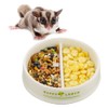 Small Pet Ceramic Food Bowl, Anti-Turning Food and Water Dish