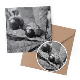 1 x Greeting Card & 10 cm Round Sticker Set - BW - Conker Horse Chestnut Tree - Birthday Thank You Friend Lover Fan Mum Dad Kids #38083